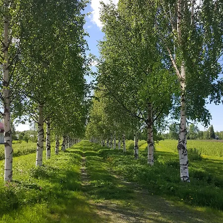 Kylpylaehotelli Pohjanranta Hotel Keminmaa